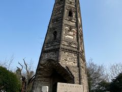 -上海佘山国家森林公园天马山园