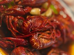 -杨氏青龙虾·羊蝎子(珠江路店)