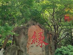 -杭州黄龙洞