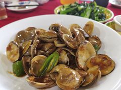 -大湾区中央湿地公园-十九涌