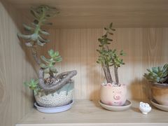 -安肯心理咨询(长宁旗舰店)