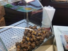 -小宝栗子(嘉华国际商业中心店)
