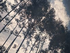 -上甘棠村