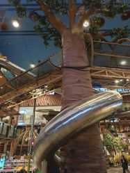 -卡通尼·Safari非洲探索乐园·生日会(金桥国际商业广场店)