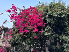 -光明刘冰乳鸽店(光明法政北路店)