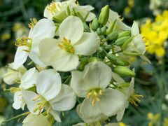 -长兴太湖图影湿地文化园