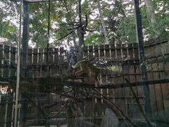 -清迈夜间动物园