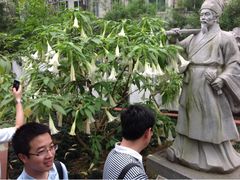 -广州神农草堂中医药博物馆