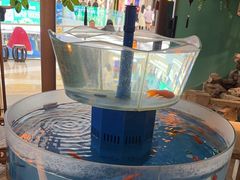 -佬麻雀·剁椒鱼头(京基KK One店)