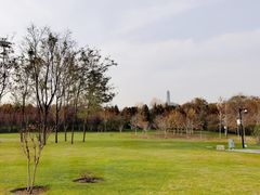 -北坞公园