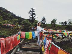 -硗碛藏寨·神木垒景区