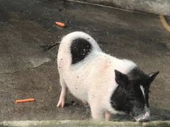 -杭州野生动物世界