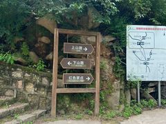 -大岭沟猕猴桃谷风景区