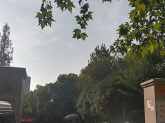 -水果湖儿童公园