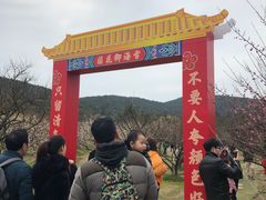 -香雪海