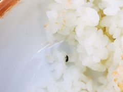 -阿鹏故事云南野生菌火锅(人民路店)