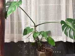 -懒人盐府人家·自贡大麻鱼(安贞店)
