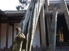 -太平天国侍王府