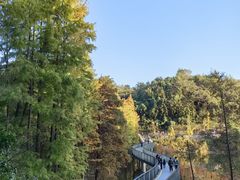 -青山湖景区