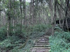-富春桃源风景区