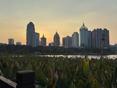 -南宁南湖公园