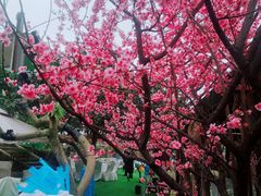-玫瑰庄园·自助烧烤·烤全羊·团建拓展(龙泉山店)