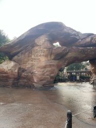 -翱翔飞越地平线