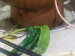 -原柳滩高台阶涮羊肉