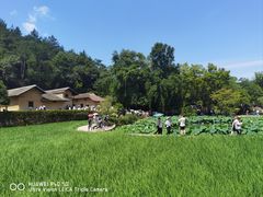 -韶山毛泽东同志故居