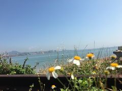 -海堤纪念公园