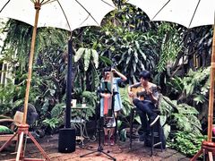 -Fern Forest Cafe