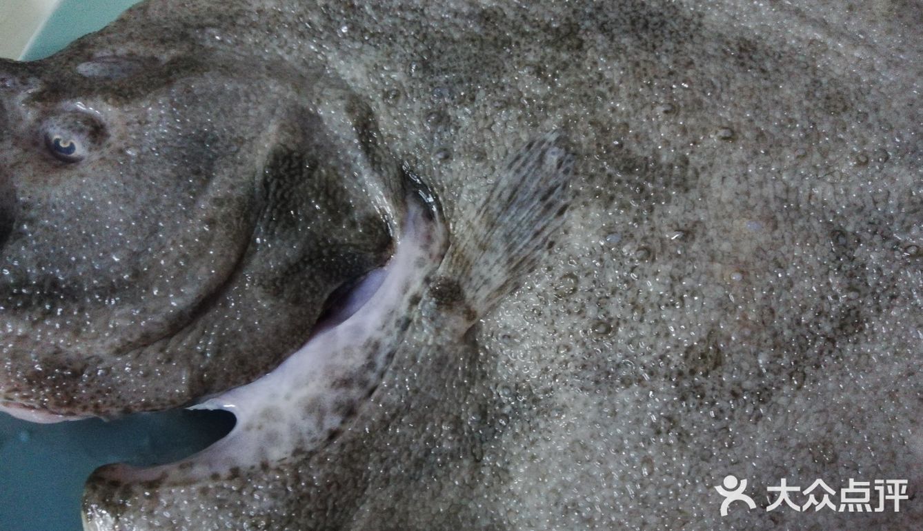 原汁原味的清蒸多宝鱼,不加其他料