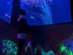 -沈阳海洋探索中心