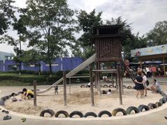 -成飞公园