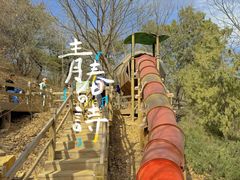 -北京西山国家森林公园