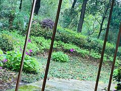 -天目湖涵田度假村