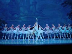 -北京大学百年讲堂