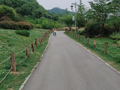 -贵阳市花溪国家城市湿地公园