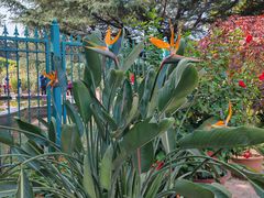 -国家植物园南园