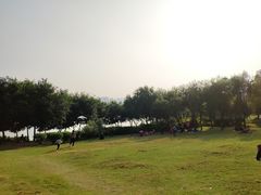 -飞来湖湿地公园