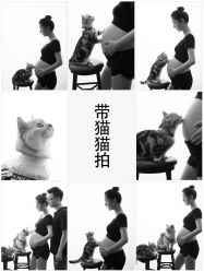 -专注孕妇照亲子照·纪田摄影