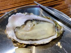 -蚝堡海鲜·威海菜·海肠捞饭·烧烤·亚洲吃蚝公司(幸福门店)