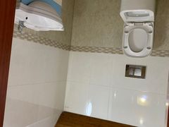 -金山农民画村-枫泾波兰倒置屋