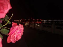 -汉江公园