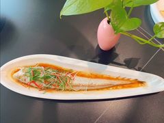 -鲐赏河豚(长寿店)