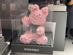 -ROSEONLY诺誓(广州K11店)