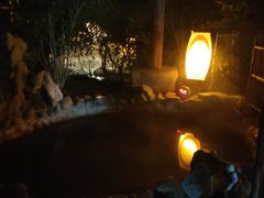 -深业半汤御泉庄温泉