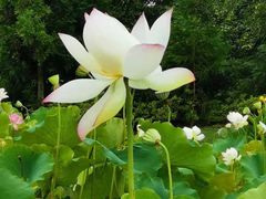 -贵阳市花溪国家城市湿地公园