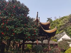 -杭州黄龙洞