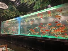 -阳光院坝小龙虾(红牌楼店)
